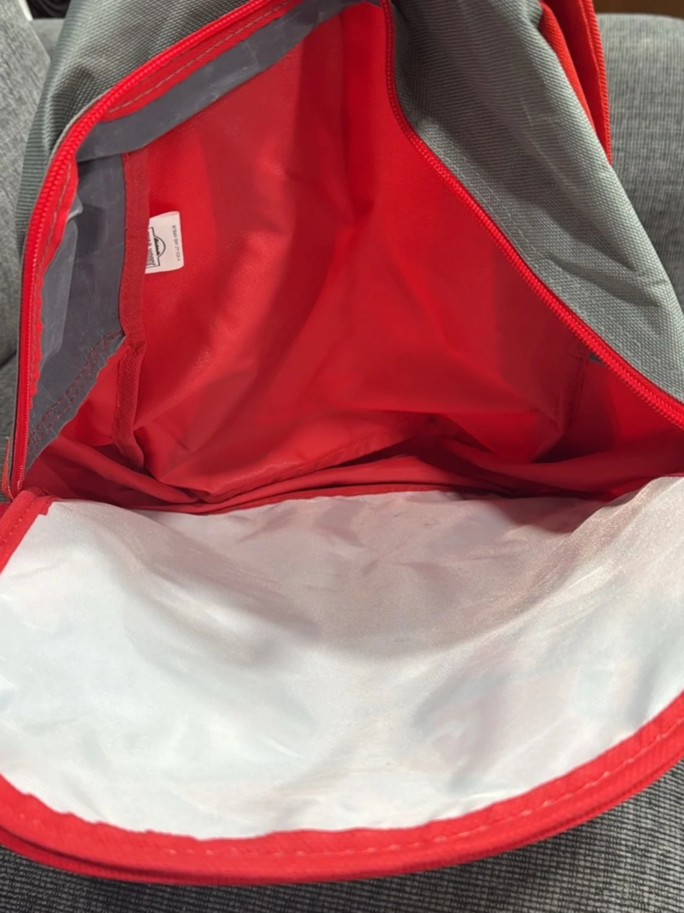 Red Dinosaur Kids Backpack